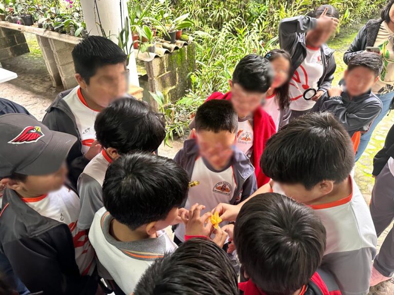 IMG-20250702-WA0057