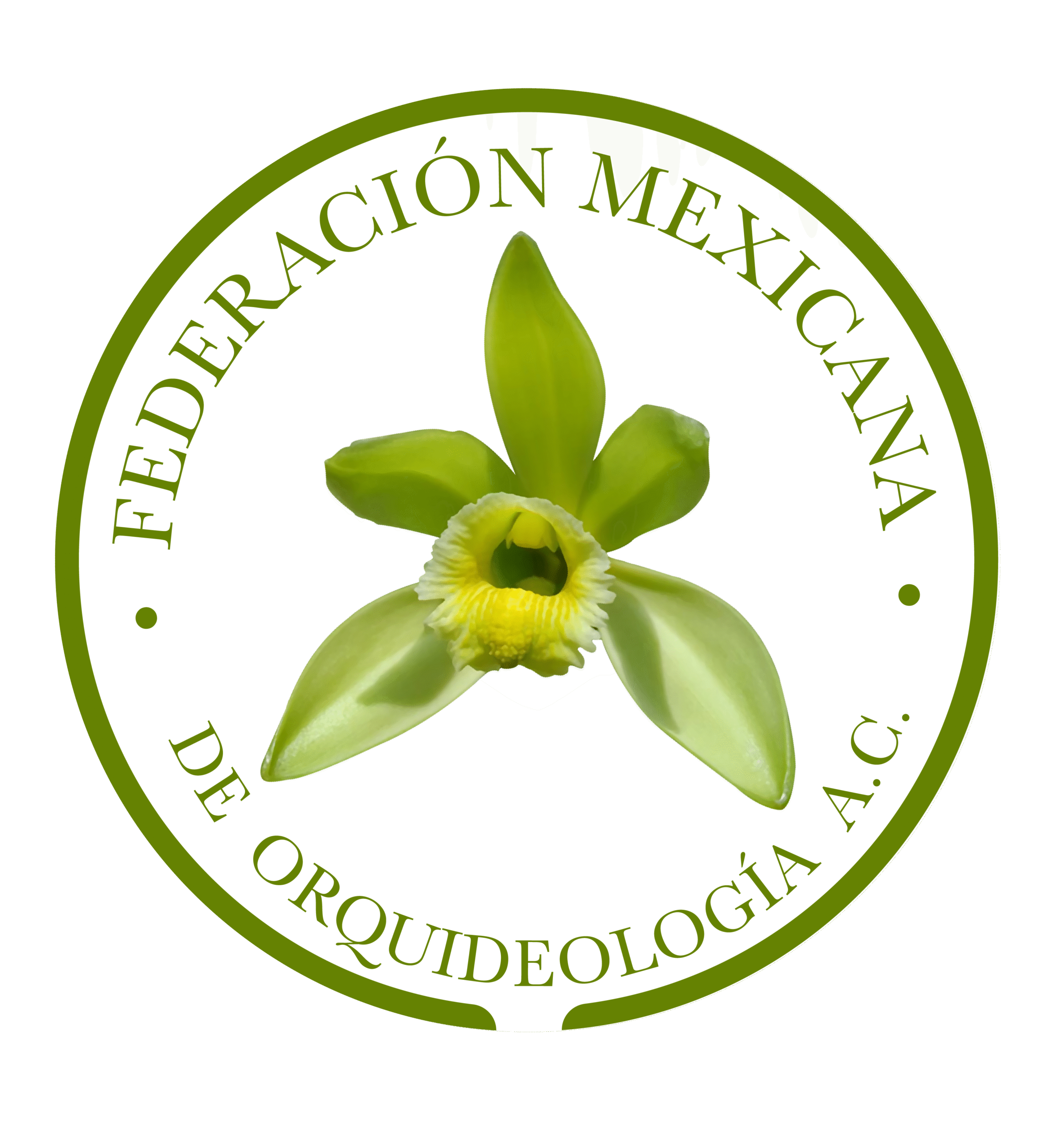 federacion mexicana de orquideología a.c