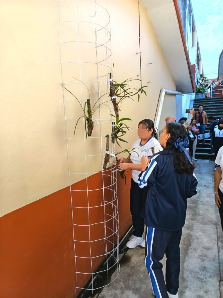 WhatsApp Image 2025-12-08 at 9.11