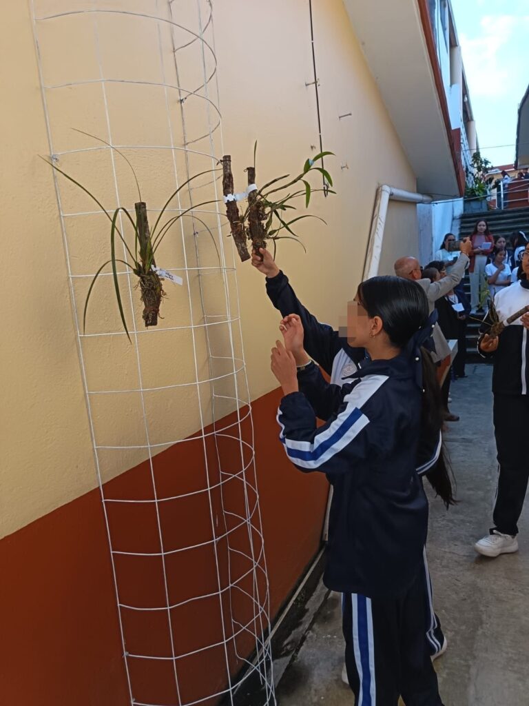 WhatsApp Image 2025-12-08 at 9.11