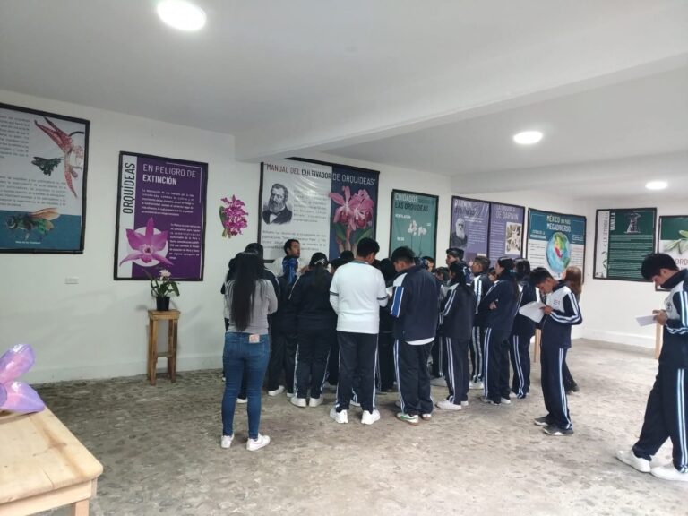 WhatsApp Image 2025-12-22 at 11.42